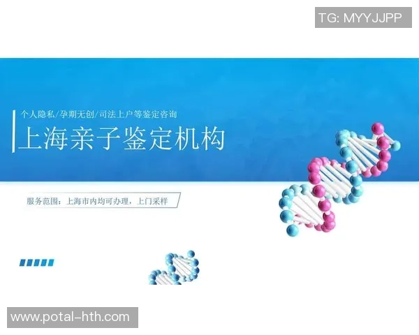 上海羽毛球队球员个人能力深度对比与分析探讨