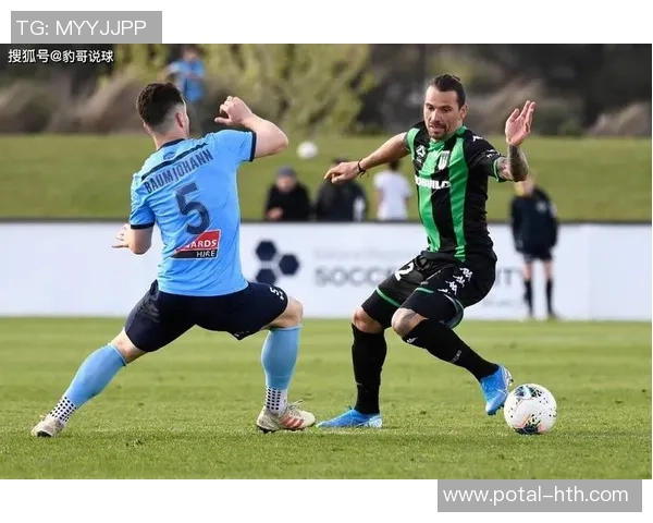 今天悉尼对阵西部联的精彩赛事前瞻与分析，谁将赢得这场激烈对决